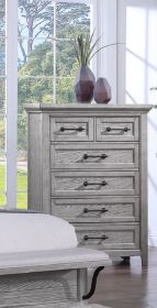 Contemporary Light Gray Finish 1pc Tall Chest Wooden Bedroom Furniture Metal Pull Furniture