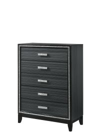 Haiden Weathered Black Finish Chest