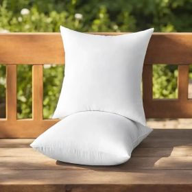 Throw Pillows (Option: W13724784)